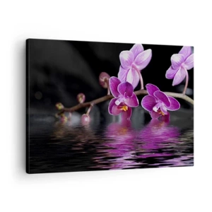 Bild auf Leinwand - Leinwandbild - Lila Orchideen über ruhigem Wasser vor schwarzem Hintergrund - 70x50cm - Lila Spiegelbild der Schönheit - Moderne Wanddekoration für Wohnzimmer und Schlafzimmer ARTTOR