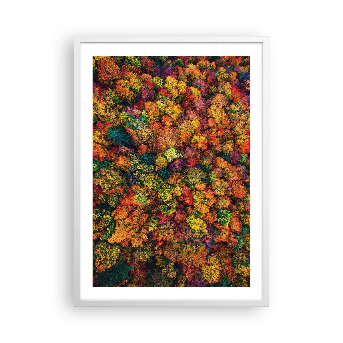 Poster in einem weißen Rahmen - Blumenstrauß aus Herbstbäumen - 50x70 cm
