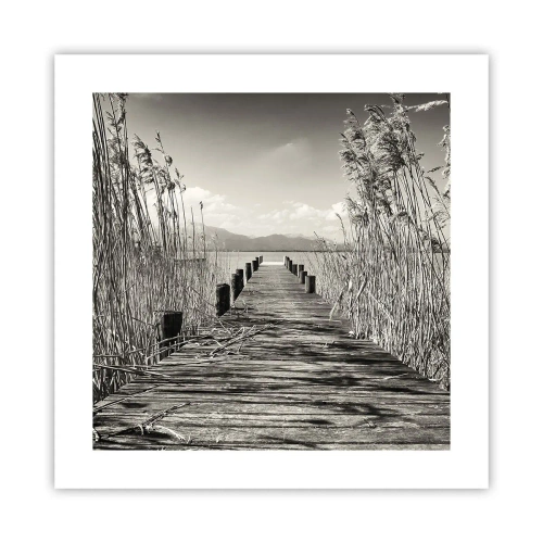 Poster - In der Stille des Grases - 40x40 cm