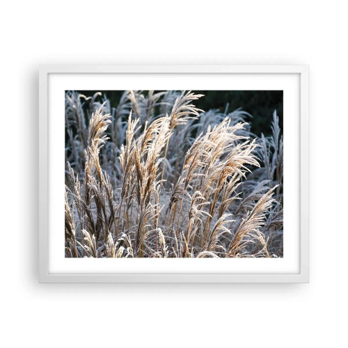 Poster in einem weißen Rahmen - Gekleidet mit Frost - 50x40 cm