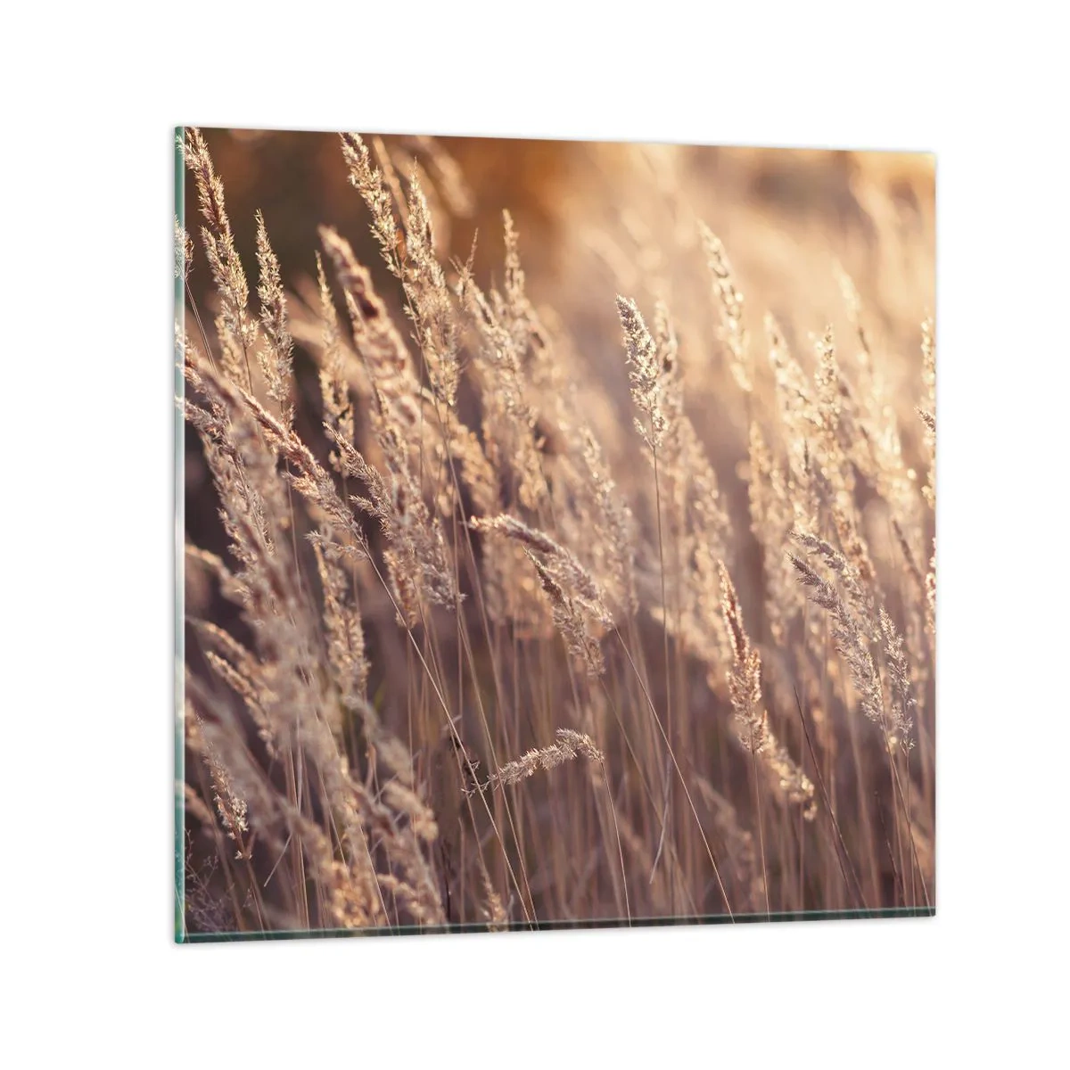 Glasbild - Bild auf glas - Bereit, den Herbst willkommen zu heißen - 70x70 cm