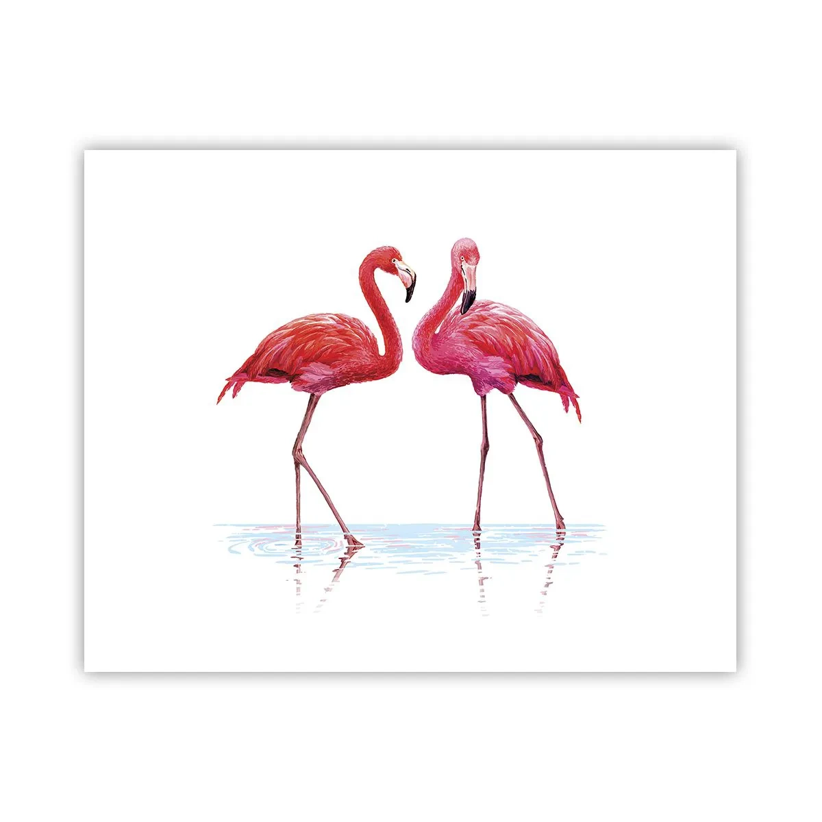 Poster - Rosa randez-vous - 50x40 cm