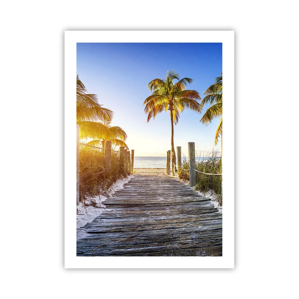 Poster - Holzweg zum Strand mit Palmen im Sonnenlicht - 50x70cm - Direkt ins Paradies - Moderne Wanddekoration für Wohnzimmer und Schlafzimmer ARTTOR