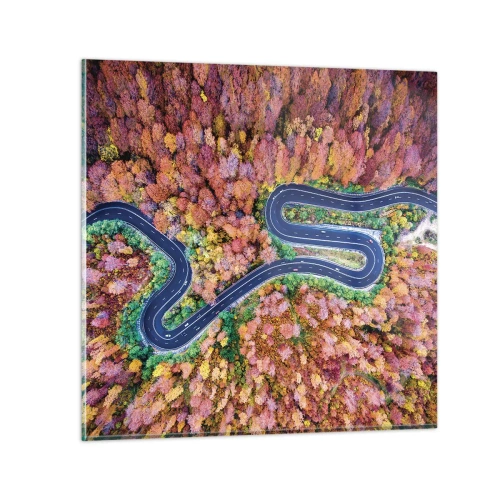 Glasbild - Bild auf glas - Kurvenreicher Weg durch den Wald - 70x70 cm