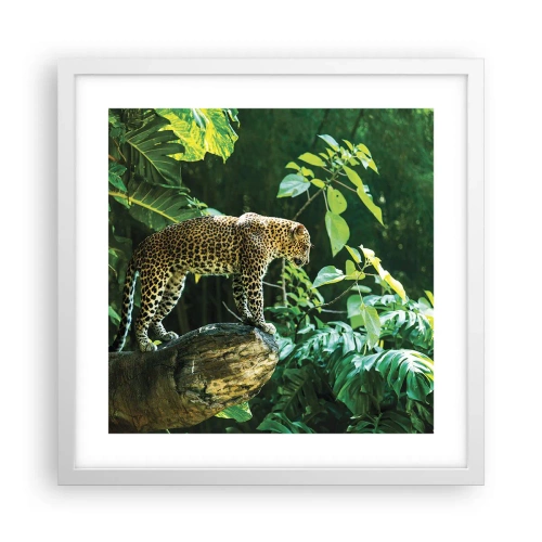 Poster in einem weißen Rahmen - Auf die Jagd? - 40x40 cm