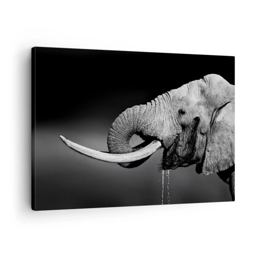 Bild auf Leinwand - Leinwandbild - Schwarz-Weiß-Porträt eines Elefanten im Profil - 70x50cm - Ja, gut jetzt - Moderne Wanddekoration für Wohnzimmer und Schlafzimmer ARTTOR