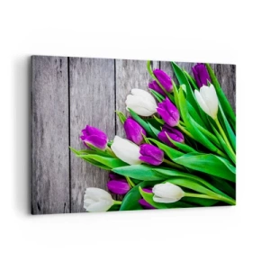 Bild auf Leinwand - Leinwandbild - Ein Strauß lila und weißer Tulpen auf einem hölzernen Hintergrund - 120x80cm - Am Tag der Frühlingsferien - Moderne Wanddekoration für Wohnzimmer und Schlafzimmer ARTTOR