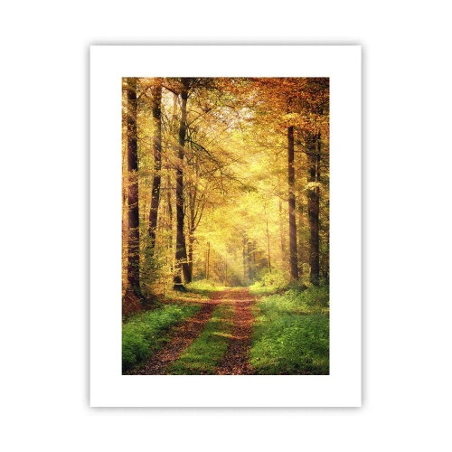 Poster - Waldgoldene Stille - 30x40 cm