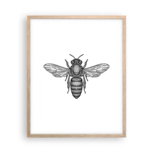 Poster in einem Rahmen aus heller Eiche - Insektenporträt - 40x50 cm