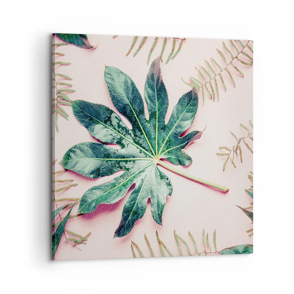Bild auf Leinwand - Leinwandbild - Eine Studie von Grün auf einem rosa Hintergrund - 60x60 cm
