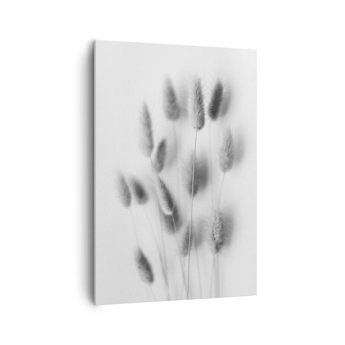 Bild auf Leinwand - Leinwandbild - Zarte Gräser in Grautönen auf weißem Hintergrund - 70x100cm - Eure flauschige Grashoheit - Moderne Wanddekoration für Wohnzimmer und Schlafzimmer ARTTOR