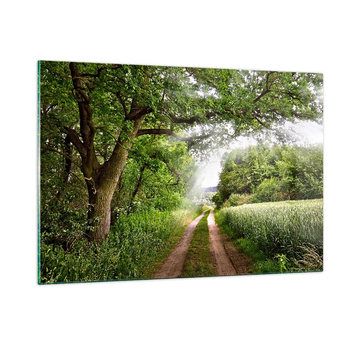 Glasbild - Bild auf glas - Ein Waldweg, umgeben von Grün in den Strahlen der Sonne - 120x80cm - Et in Arcadia ego - Moderne Wanddekoration für Wohnzimmer und Schlafzimmer ARTTOR