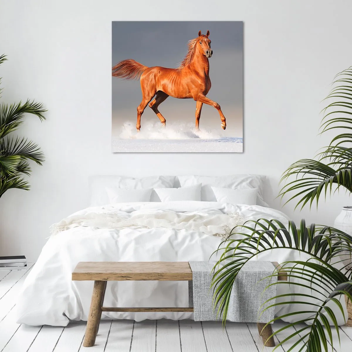 Bild auf Leinwand - Leinwandbild - Tanzende Anmut - 60x60 cm