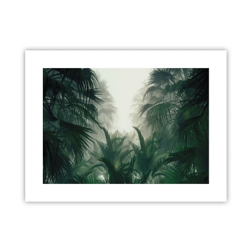 Poster - Tropisches Geheimnis - 40x30 cm