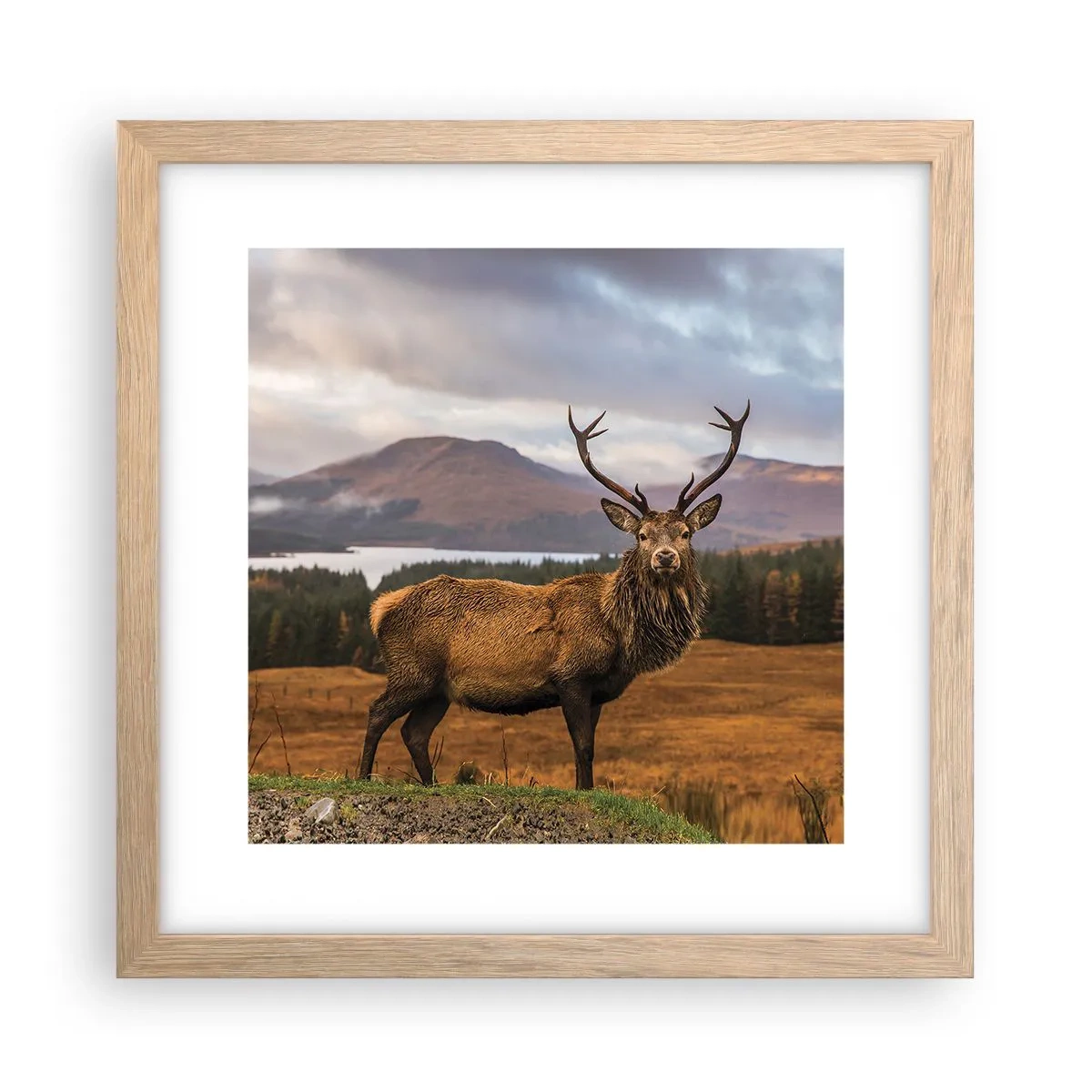 Poster in einem Rahmen aus heller Eiche - Die Majestät der Natur - 30x30 cm