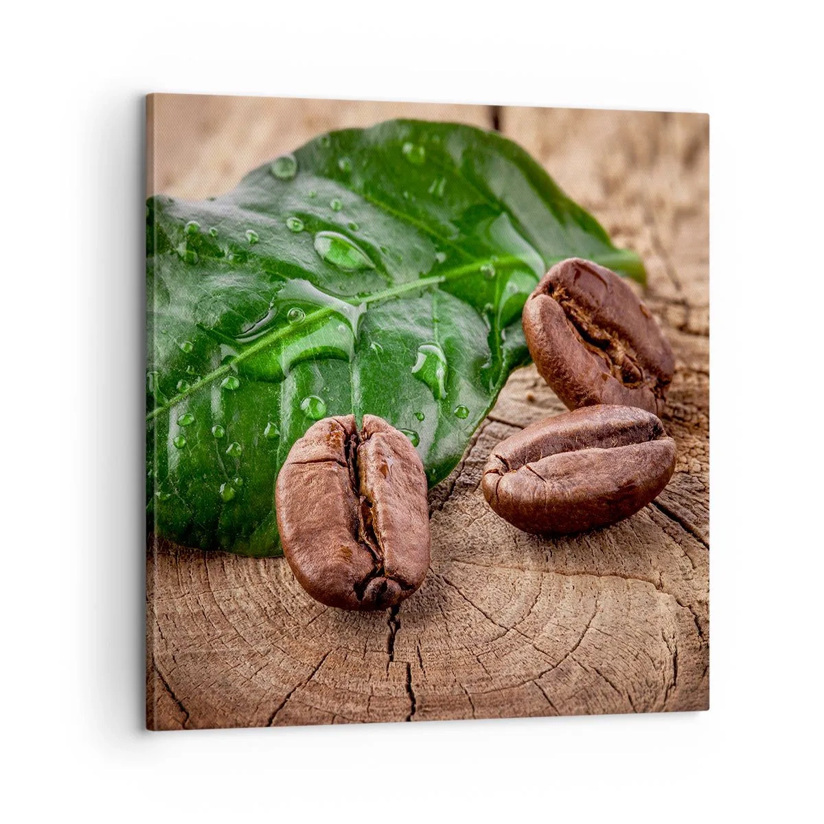 Bild auf Leinwand - Leinwandbild - Der wahrste und schwarze - 60x60 cm