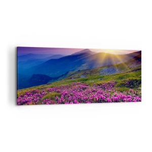 Bild auf Leinwand - Leinwandbild - Eine blühende Wiese mit Blick auf die Berge bei Sonnenuntergang - 120x50cm - … Und drumherum duftet es nach Latschenkiefer und dem Duft von Kräutern - Moderne Wanddekoration für Wohnzimmer und Schlafzimmer ARTTOR