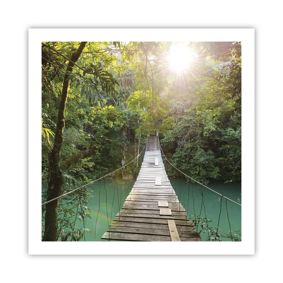 Poster - Über das azurblaue Wasser zum azurblauen Wald - 60x60 cm