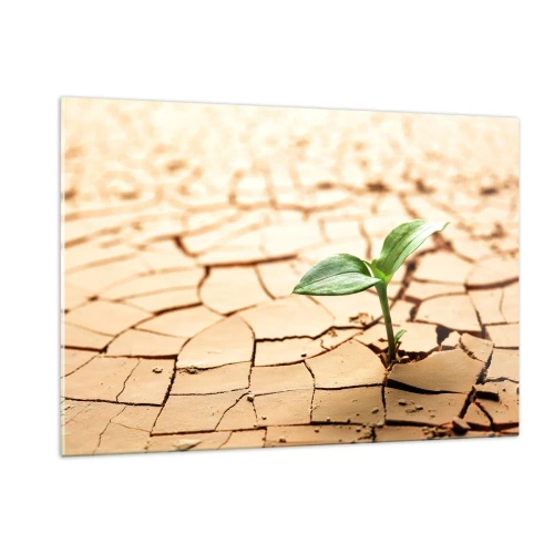 Glasbild - Bild auf glas - Eine junge Pflanze wächst aus trockener, rissiger Erde - 120x80cm - Die unbezähmbare Kraft des Lebens - Moderne Wanddekoration für Wohnzimmer und Schlafzimmer ARTTOR