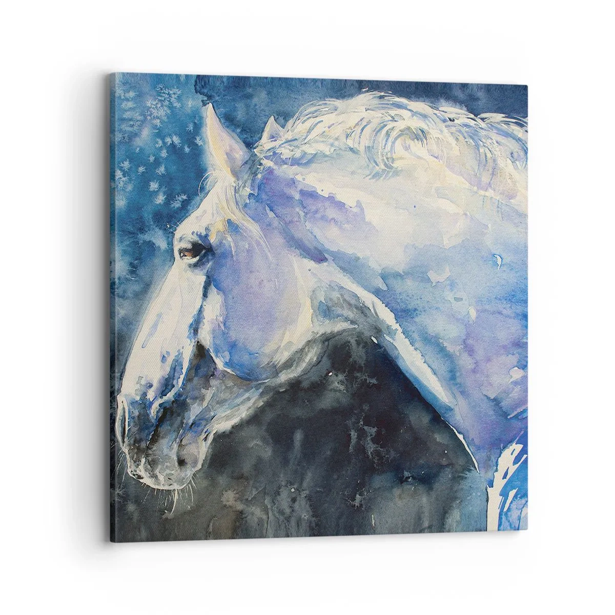 Bild auf Leinwand - Leinwandbild - Porträt in blauem Glanz - 70x70 cm
