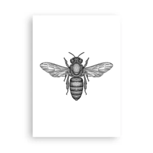 Poster - Präzise Abbildung einer Biene auf weißem Hintergrund - 50x70cm - Insektenporträt - Moderne Wanddekoration für Wohnzimmer und Schlafzimmer ARTTOR