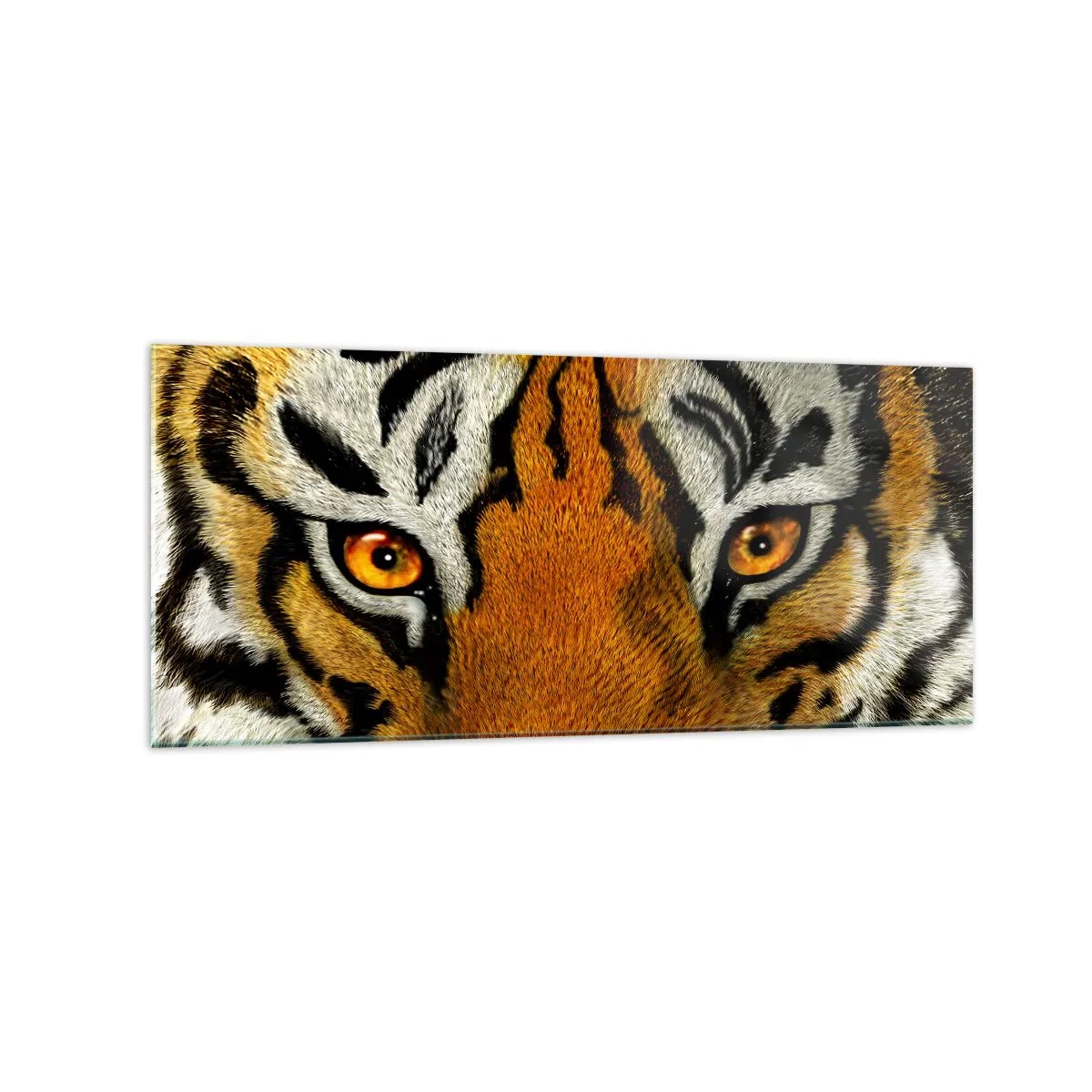 Glasbild - Bild auf glas - Nahaufnahme eines Tigers mit intensivem Blick - 120x50cm - Schrecklich und schön - Moderne Wanddekoration für Wohnzimmer und Schlafzimmer ARTTOR