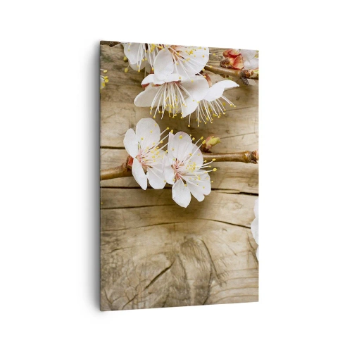 Bild auf Leinwand - Leinwandbild - Zweige blühender Kirschbäume auf einem Holzbretthintergrund - 80x120cm - Und es war Frühling - Moderne Wanddekoration für Wohnzimmer und Schlafzimmer ARTTOR