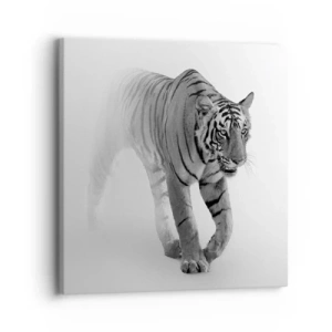 Bild auf Leinwand - Leinwandbild - Im Nebel gelauert - 30x30 cm