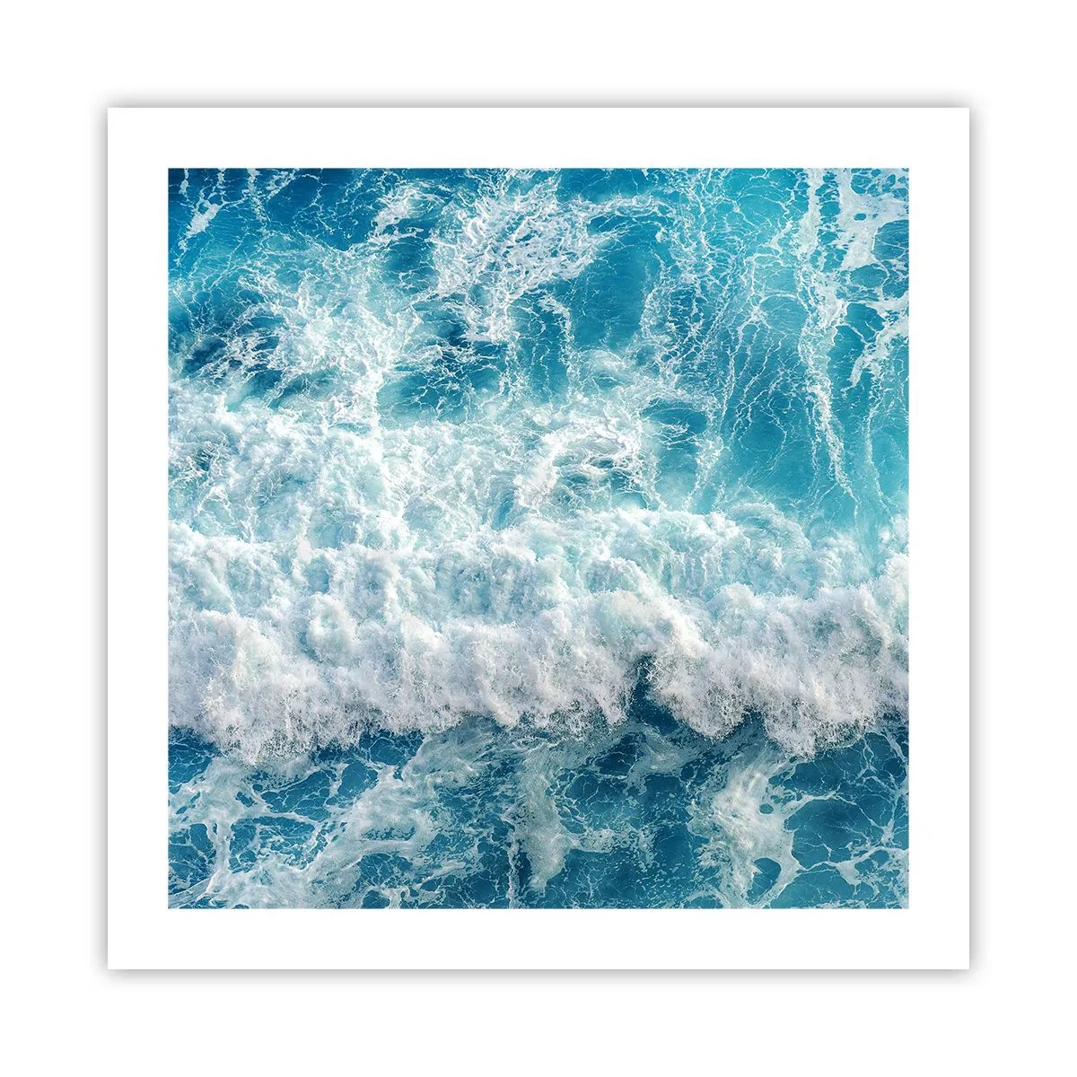 Poster - Freudig und springend - 50x50 cm