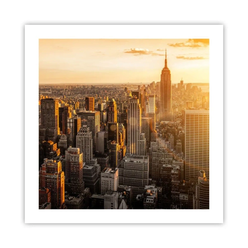 Poster - In der Sonne wachsen - 50x50 cm