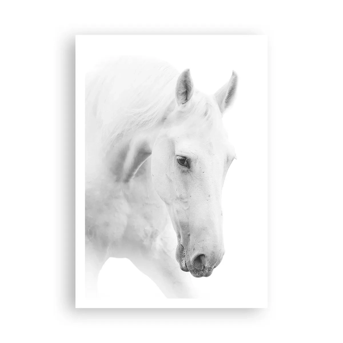 Poster - Ist das Freundschaft...? - 70x100 cm