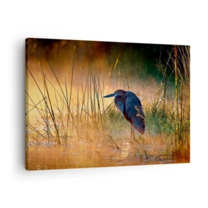Bild auf Leinwand - Leinwandbild - Ein Reiher in den Feuchtgebieten bei Sonnenuntergang zwischen hohen Gräsern - 70x50cm - Komm, gib mir eine Pause mit diesen Fotos - Moderne Wanddekoration für Wohnzimmer und Schlafzimmer ARTTOR