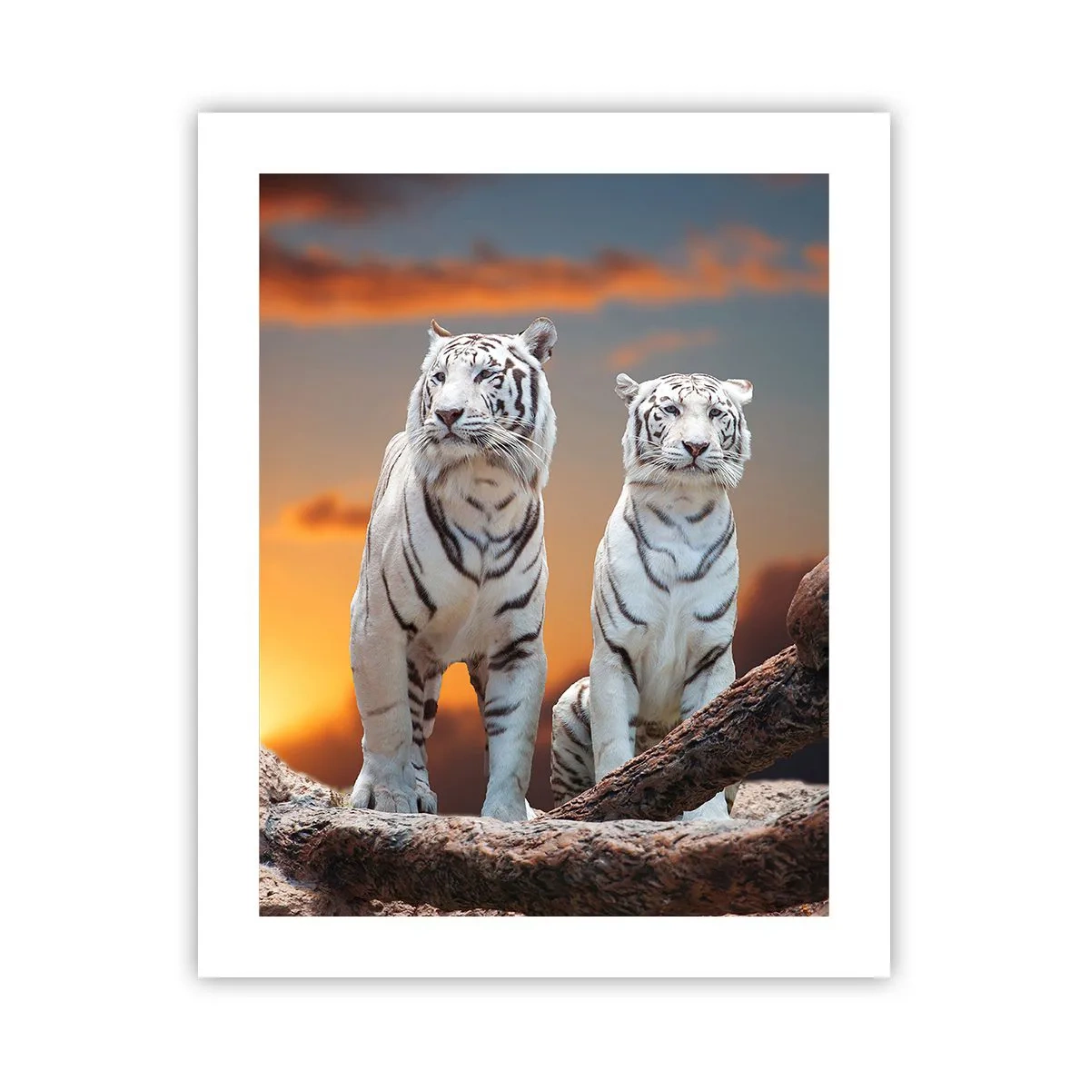 Poster - Genau wie Narnia - 40x50 cm