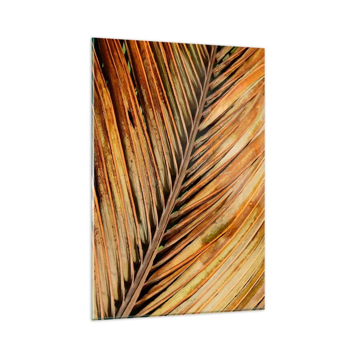 Glasbild - Bild auf glas - Nahaufnahme eines trockenen Palmblattes in warmen Tönen - 80x120cm - Kokosnuss-Gold - Moderne Wanddekoration für Wohnzimmer und Schlafzimmer ARTTOR