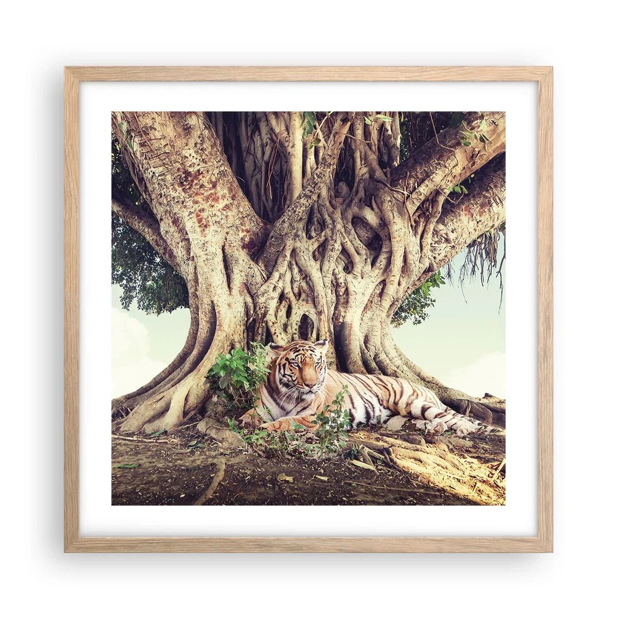 Poster in einem Rahmen aus heller Eiche - Blick aus dem Buch Genesis - 50x50 cm