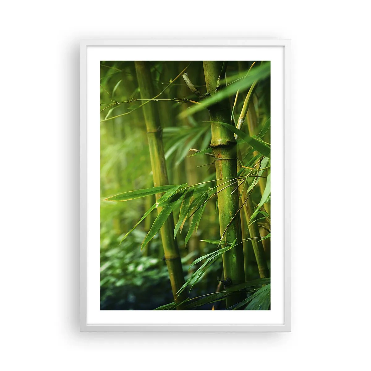 Poster in einem weißen Rahmen - Lerne Grün selbst kennen - 50x70 cm