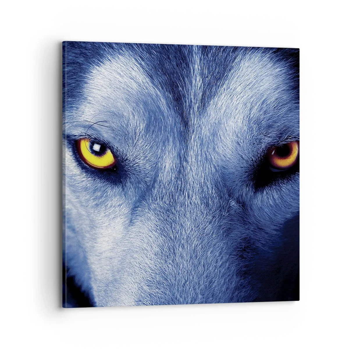 Bild auf Leinwand - Leinwandbild - Faszinierender Blick - 70x70 cm