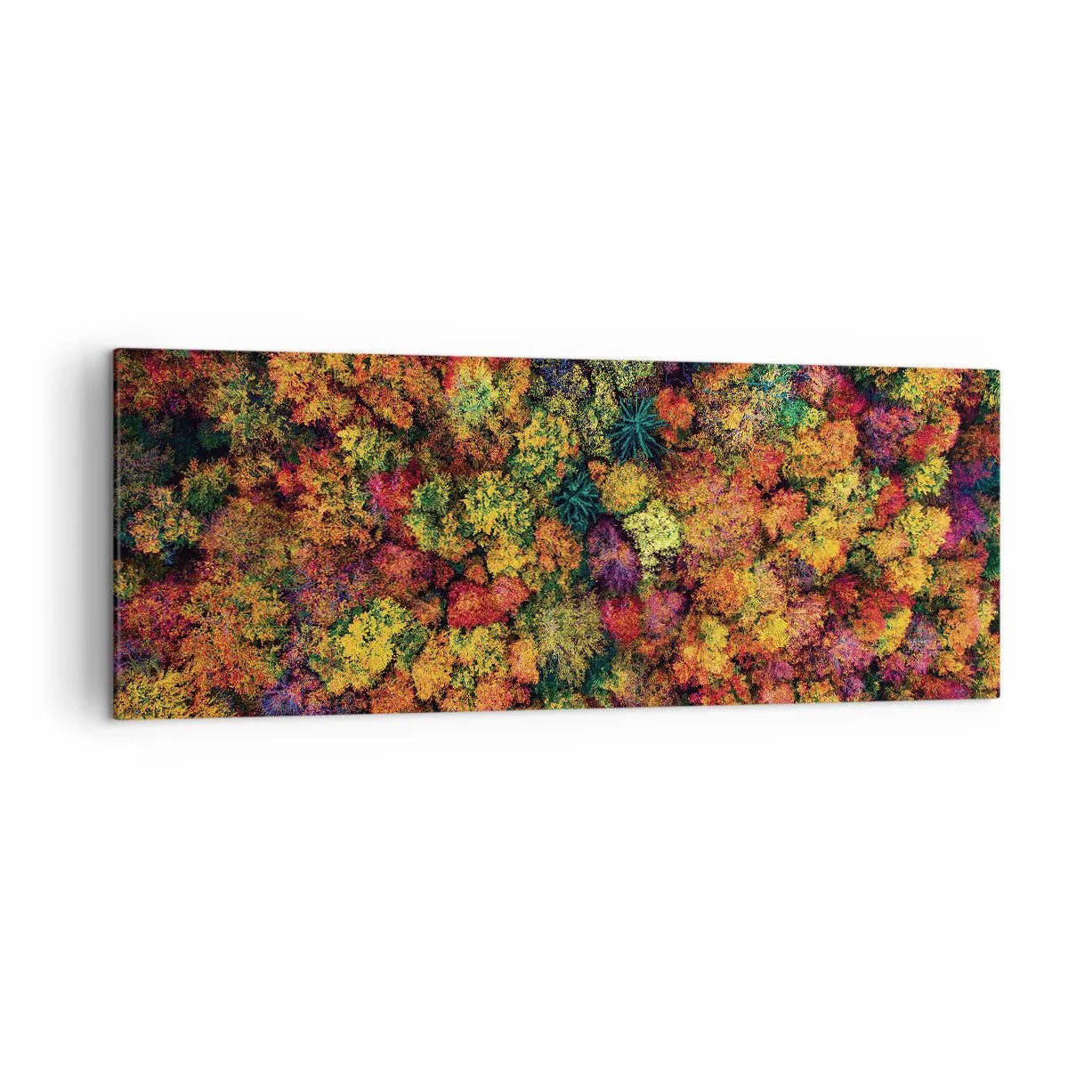 Bild auf Leinwand - Leinwandbild - Bunte Baumkronen in der Herbstpalette - 140x50cm - Blumenstrauß aus Herbstbäumen - Moderne Wanddekoration für Wohnzimmer und Schlafzimmer ARTTOR