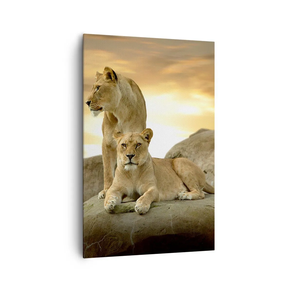 Bild auf Leinwand - Leinwandbild - Zwei Löwinnen ruhen bei Sonnenuntergang auf einem Felsen - 80x120cm - Königliche Majestät - Moderne Wanddekoration für Wohnzimmer und Schlafzimmer ARTTOR
