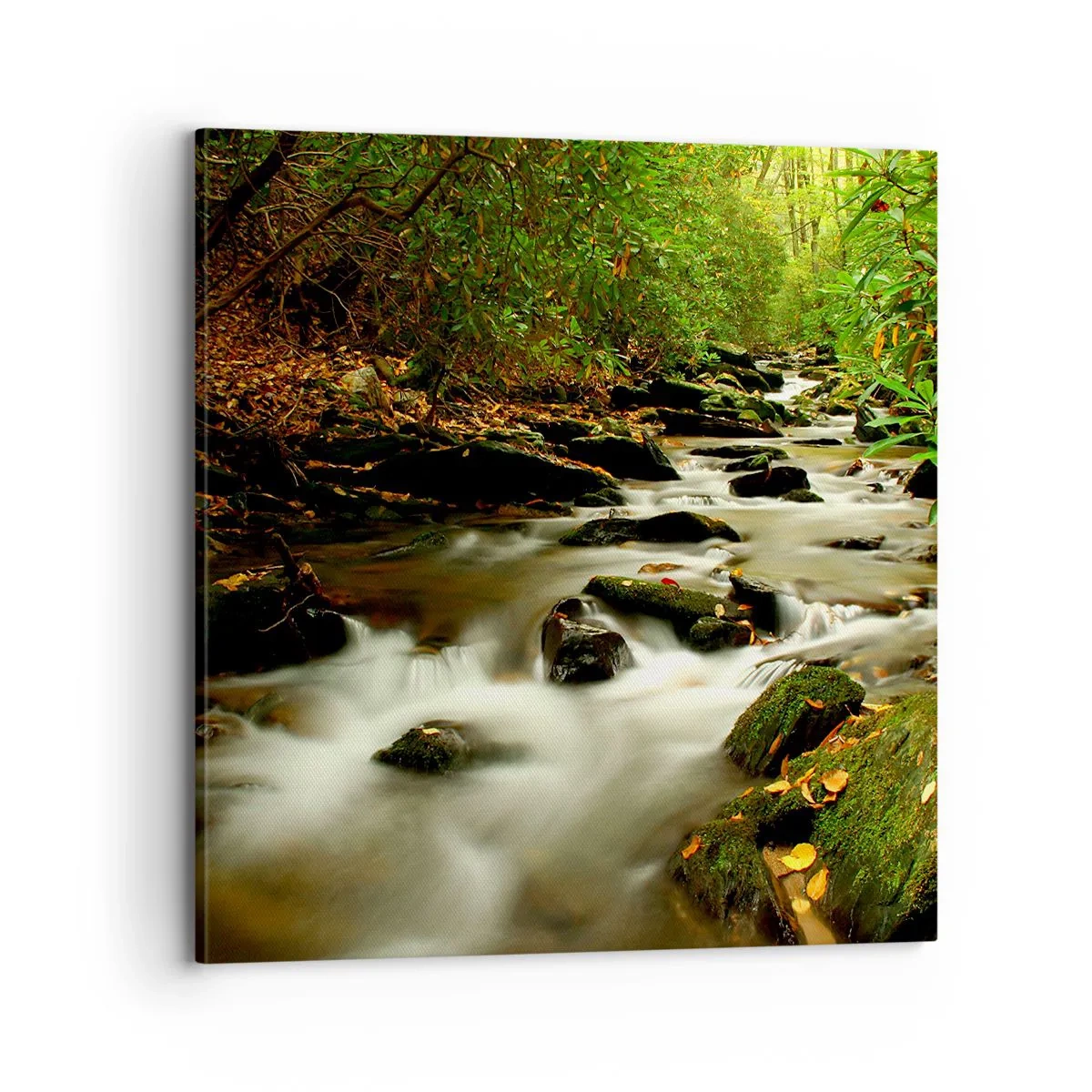 Bild auf Leinwand - Leinwandbild - Wie flüssiges Silber - 70x70 cm