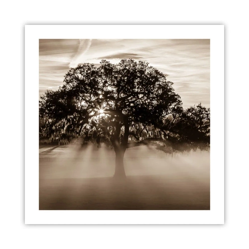Poster - Baum der guten Nachrichten - 50x50 cm