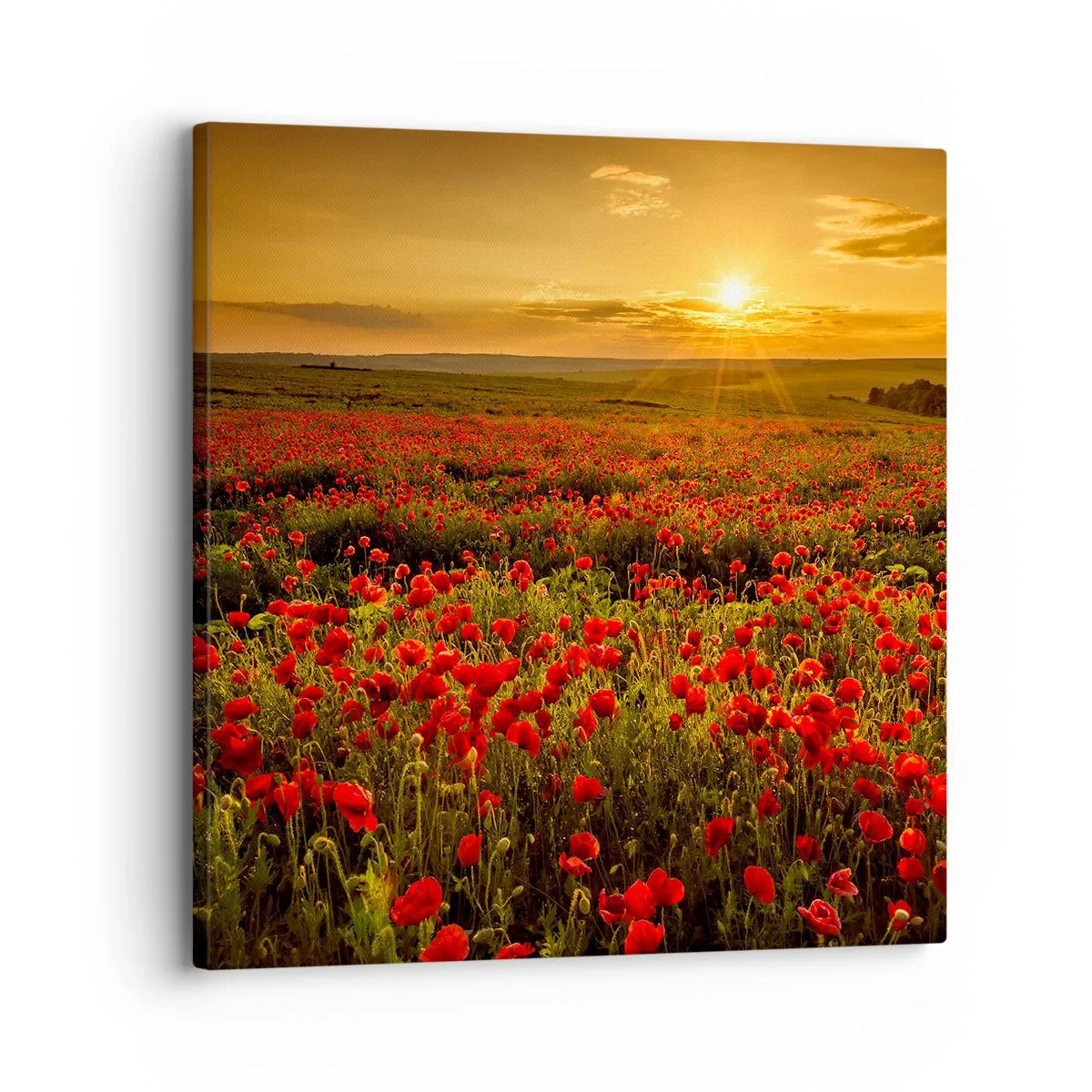 Bild auf Leinwand - Leinwandbild - Unter den Wellen raschelnder Wiesen, unter den Blumen der Flut - 30x30 cm