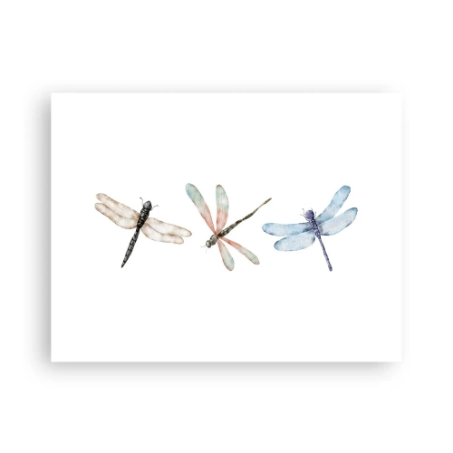 Poster - Schwerelose Libellen - 40x30 cm
