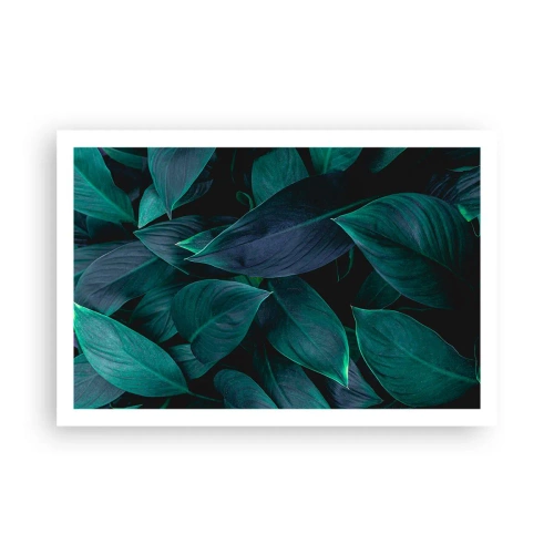 Poster - Grün in sich selbst - 91x61 cm