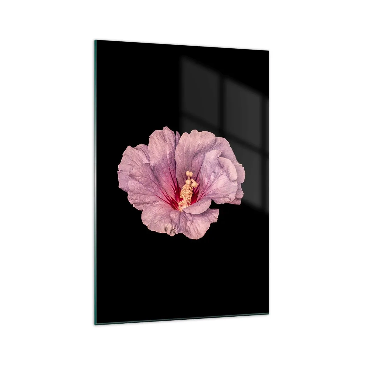 Glasbild - Bild auf glas - Rosa Blume auf schwarzem Hintergrund - 70x100cm - Direkt ins Herz - Moderne Wanddekoration für Wohnzimmer und Schlafzimmer ARTTOR