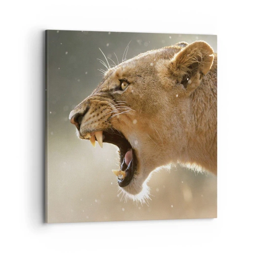 Bild auf Leinwand - Leinwandbild - Versuch, nicht zuzuhören - 70x70 cm