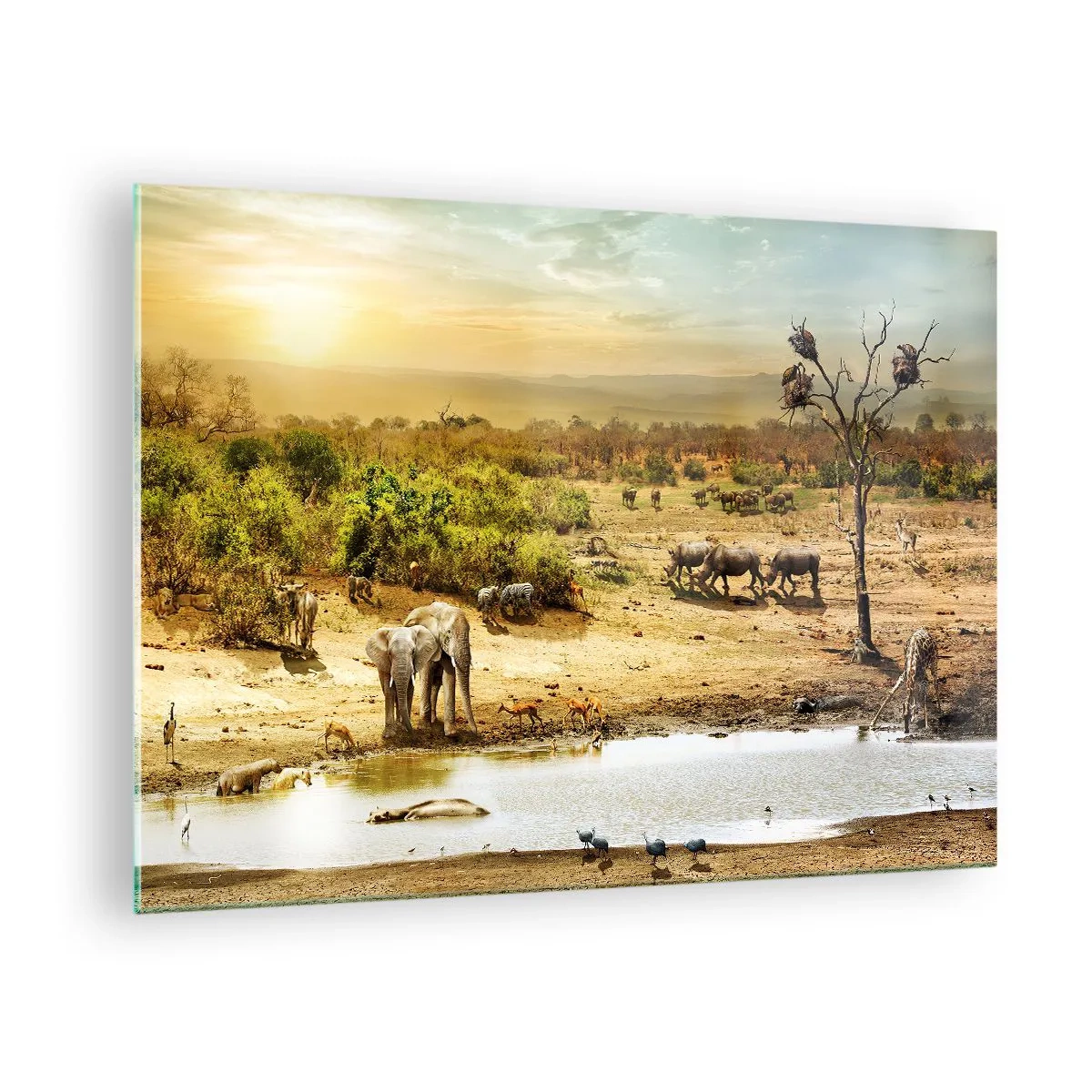 Glasbild - Bild auf glas - Elefanten und Tiere an einer Wasserstelle vor dem Hintergrund einer afrikanischen Landschaft - 70x50cm - Ein Fluss floss aus Eden ... - Moderne Wanddekoration für Wohnzimmer und Schlafzimmer ARTTOR