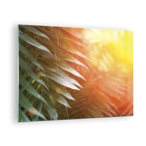Glasbild - Bild auf glas - Palmblätter im Schein der Morgensonne in tropischer Umgebung - 70x50cm - Morgen im Dschungel - Moderne Wanddekoration für Wohnzimmer und Schlafzimmer ARTTOR