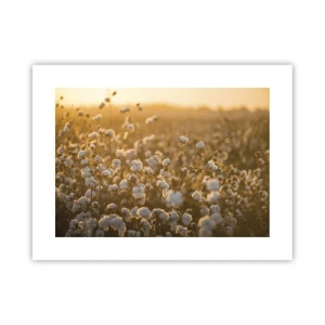 Poster - Fluffiges Feld - 40x30 cm
