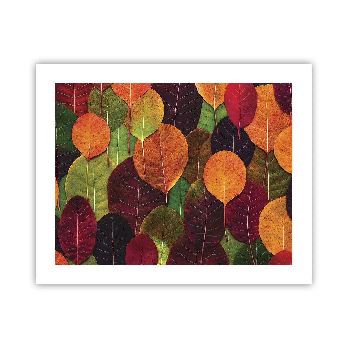 Poster - Herbstmosaik - 50x40 cm